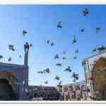 دانلود پاورپوینت مسجد جامع اصفهان